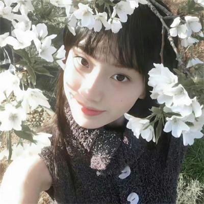 迎春花